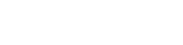 Sponsor